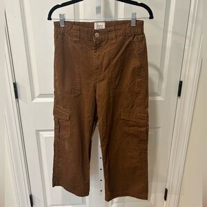 BDG Womens Brown Cargo Pants